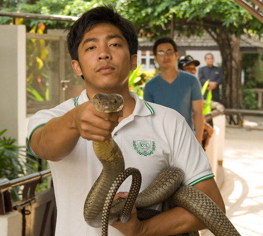 Man holding a snake