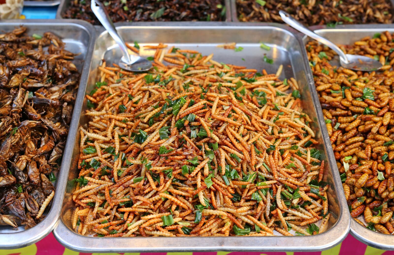 Deep fried insects at market