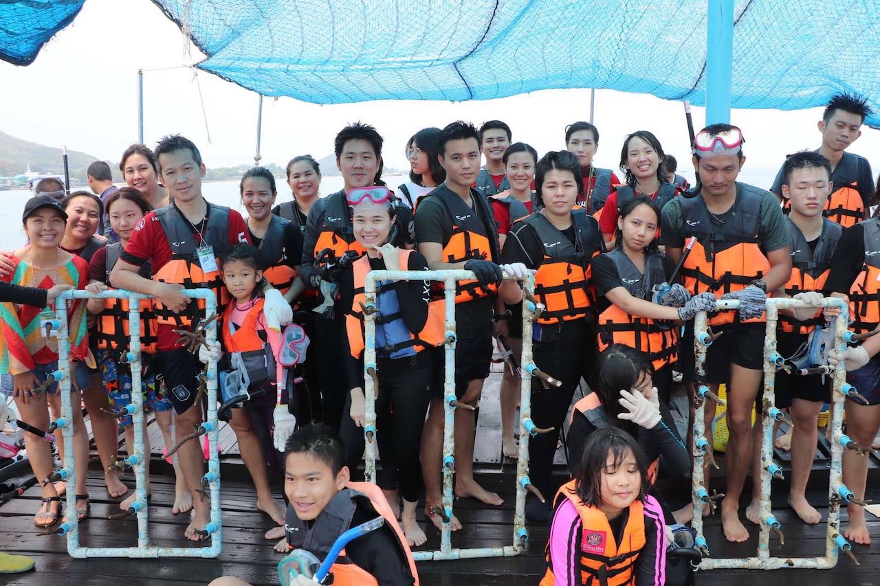 Volunteers holding restored corals in Chonburi