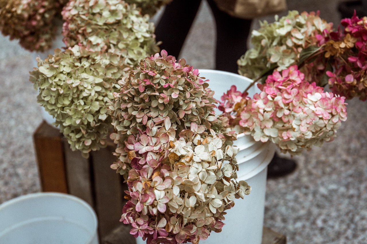 Flowers on a plastic bucket