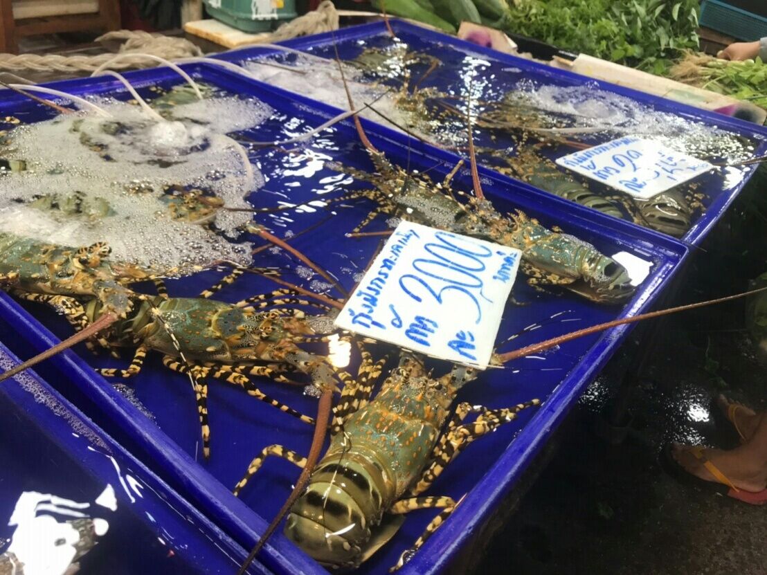 lanpho naklua fish market lobsters