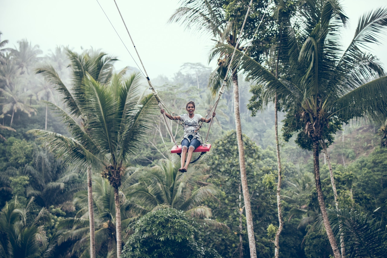 Swing experience in the jungle