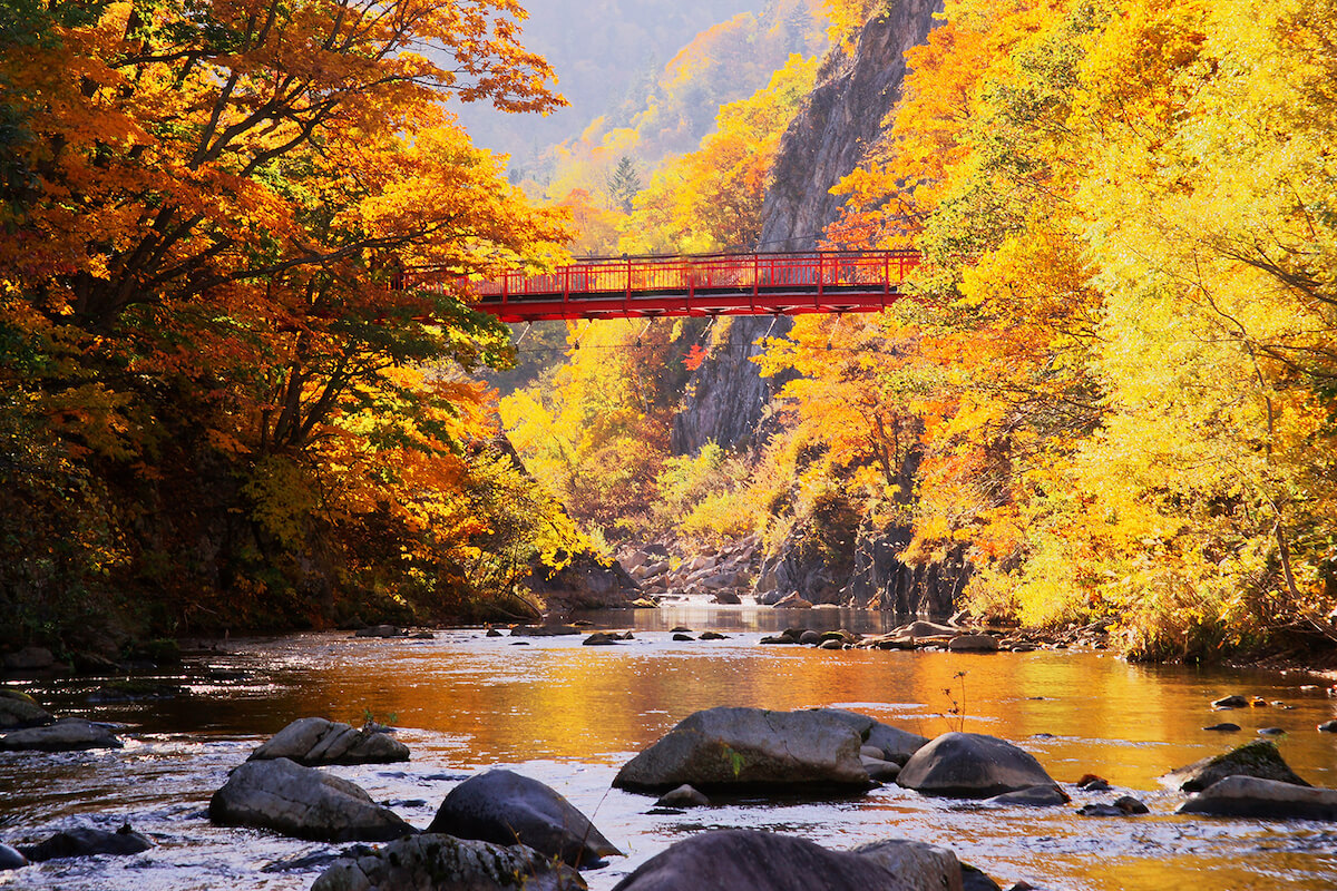 Red bridge and autumn colours in Sapporo Japan