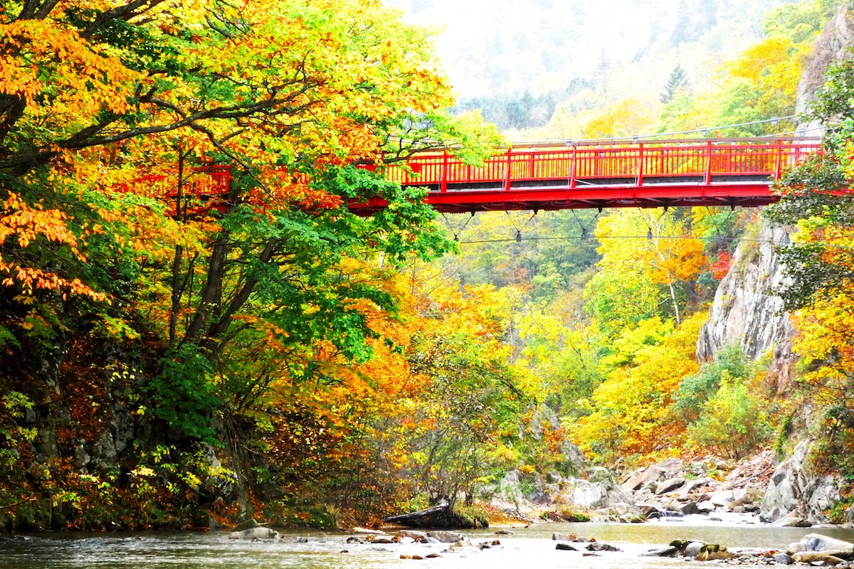 Red bridge and autumn colours in Sapporo Japan