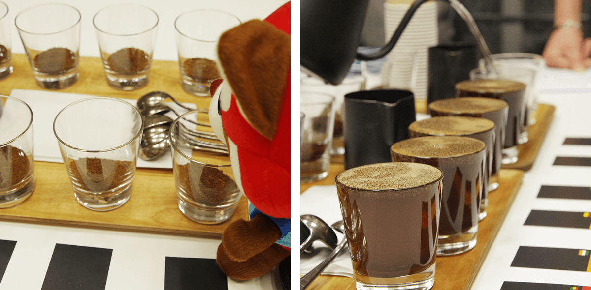 Coffee tasting with the Coffeeshop
