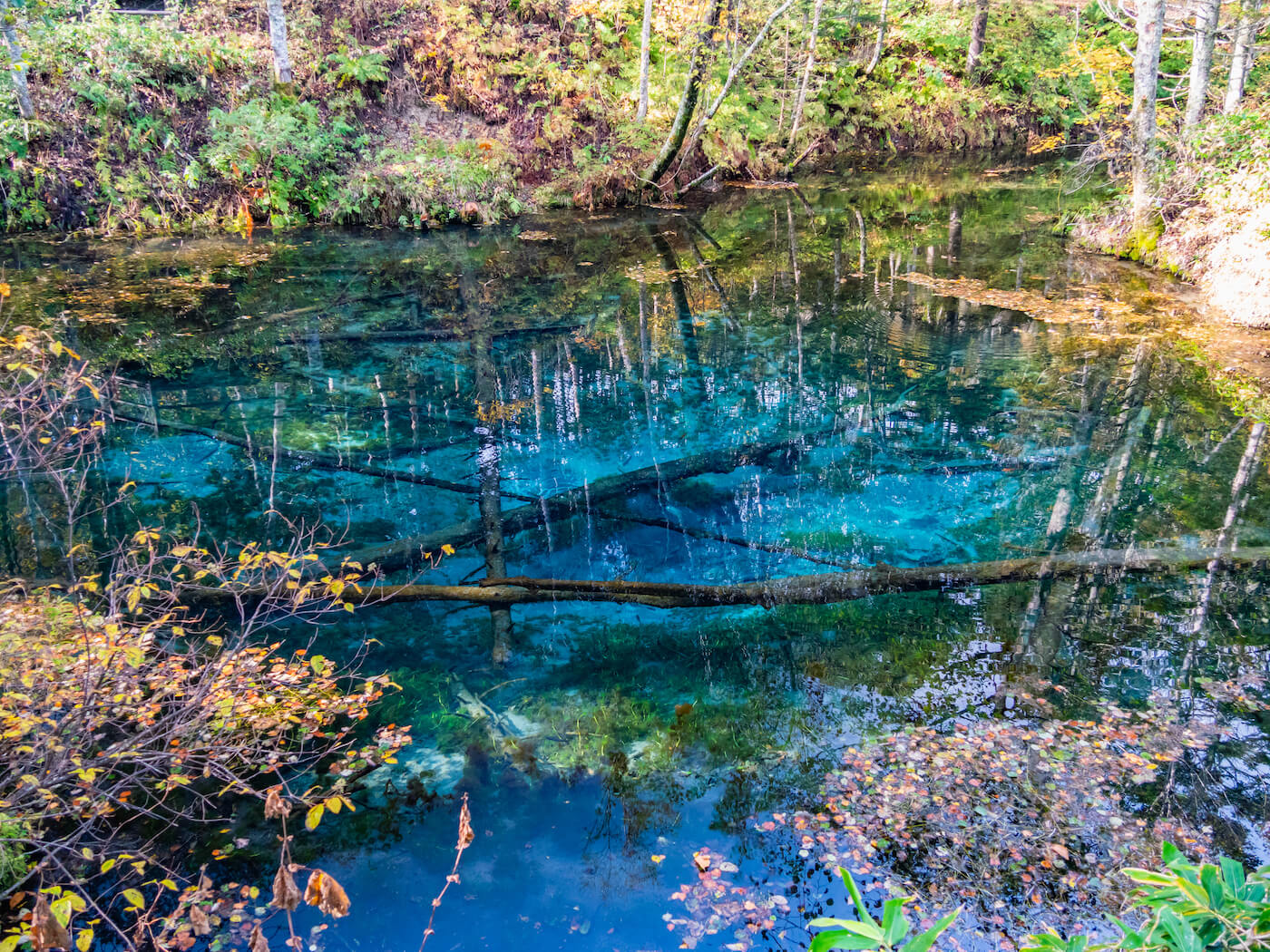 Kaminoko pond blue water