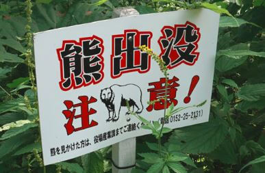 Beware bears sign at Kaminoko pond